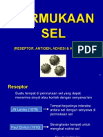 Permukaan sel-01.ppt