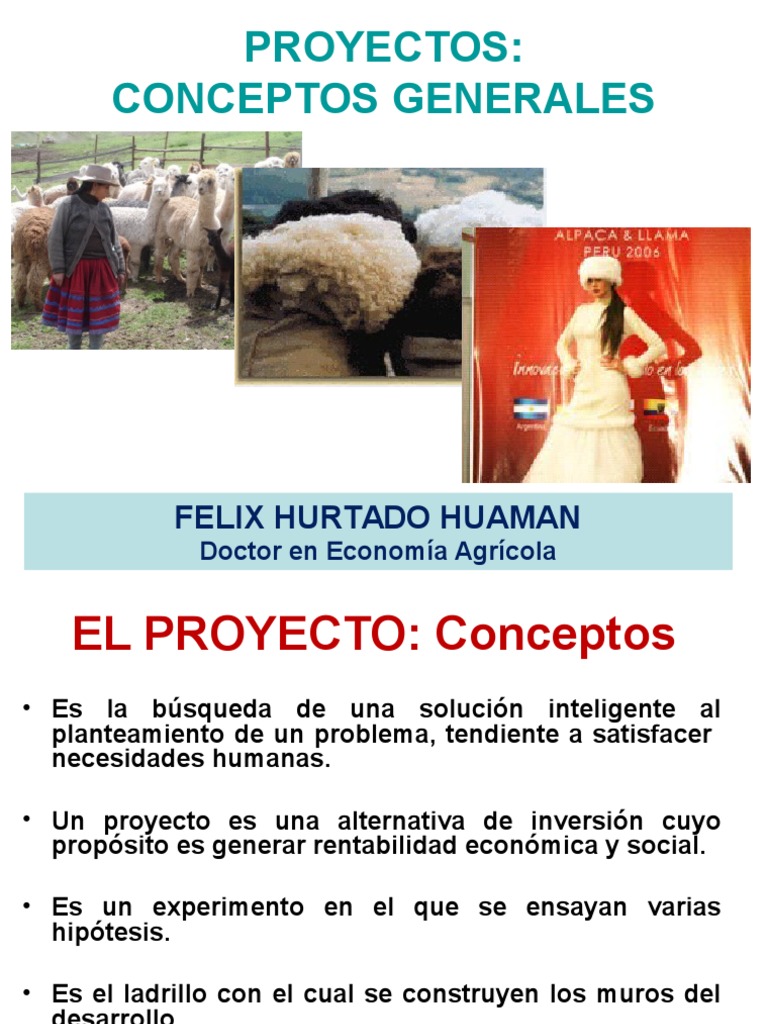 Conceptos Clave de Proyectos de Inversión | PDF | Beneficio (economía ...