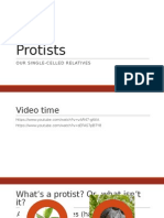 Protists