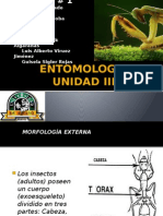 Entomologia