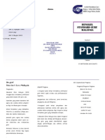 Brosur LDP BIG PDF