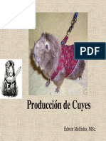 Produccion de Cuyes11