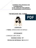 PAO CURTIEMBRE.docx