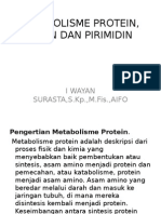 Metabolisme Protein, Purin Dan Pirimidin