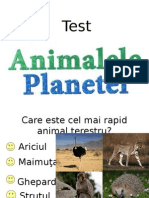 Test Animalele Planetei