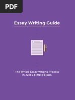 Essay Writing Guide