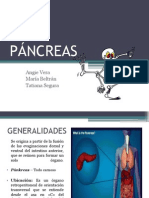 Exposición de Patología - Páncreas