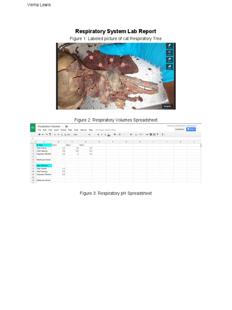 Respiratory System Lab Report | PDF | Self-Improvement | Wellness