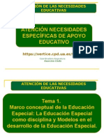 Tema 1 Marco Conceptual de La Educación Especial