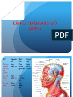 Giải phẩu cơ đầu mặt cổ Y Hà Nội