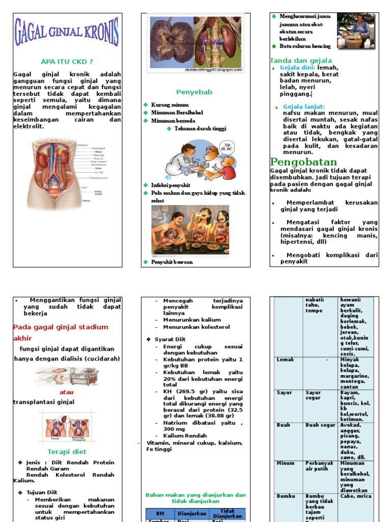 170473191 Leaflet Gagal Ginjal Kronik Docx