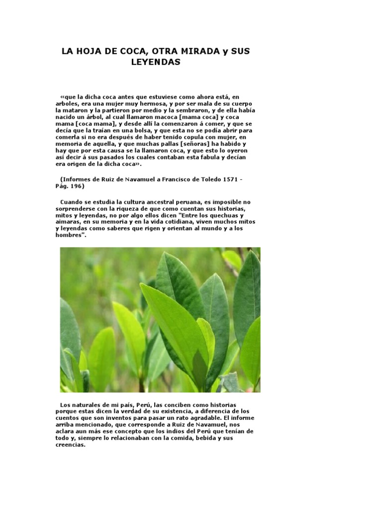 LA HOJA DE COCA Perú Personas Prueba gratuita de 30 días Scribd