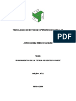 Unidad 4 Fundamentos de La Teoria de Restricciones