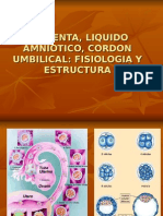Placenta, Liquido Amniotico, Cordon Umbilical,