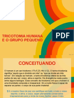 Tricotomia Humana