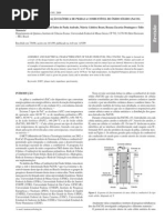 Pilha a CombustÃ-Vel 3