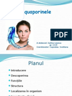 Aquaporinele