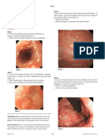 Cuastionario Endoscopico Gastrointestinal PDF