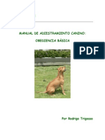 Manual de Entrenamiento Perros