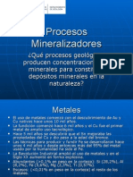 Procesos Mineralizadores