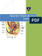 Sistema Reproductor Femenino 