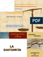 Exposicion de Diatomita