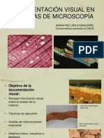 Documentacion visual en tecnicasde microscopía