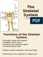 10-2 The Skeletal System Web Version