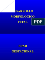 Desarrollo Fisiologico 2