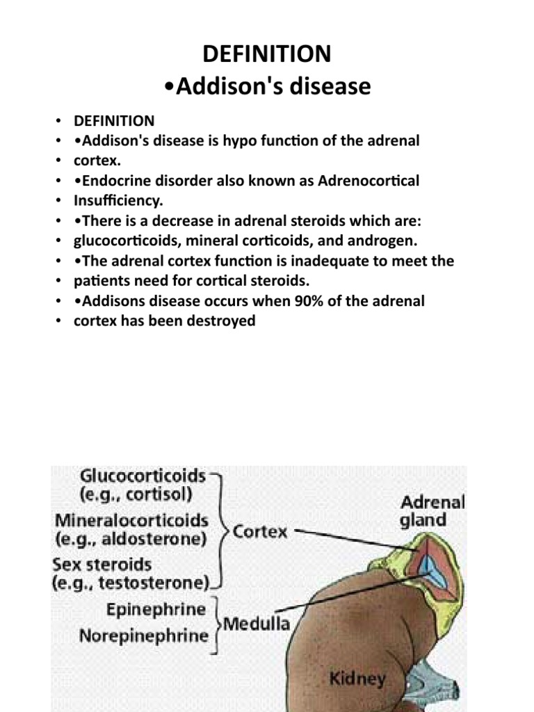 Addison S | PDF | Science & Mathematics