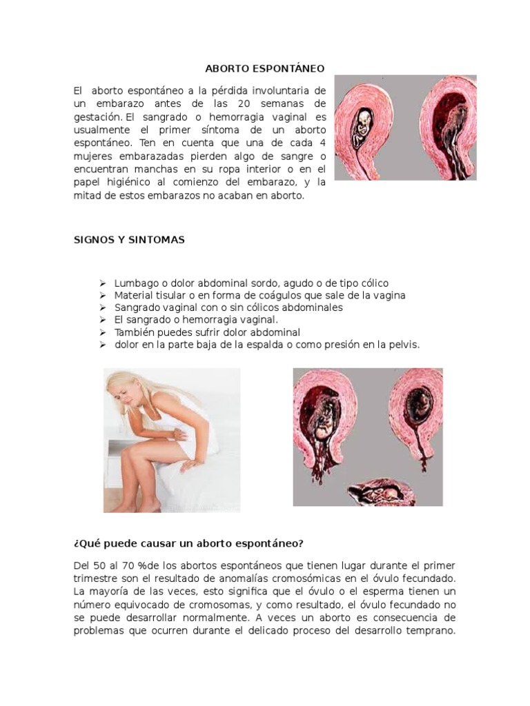 ABORTO ESPONTÁNEO | Aborto espontáneo | El embarazo | Prueba gratuita ...
