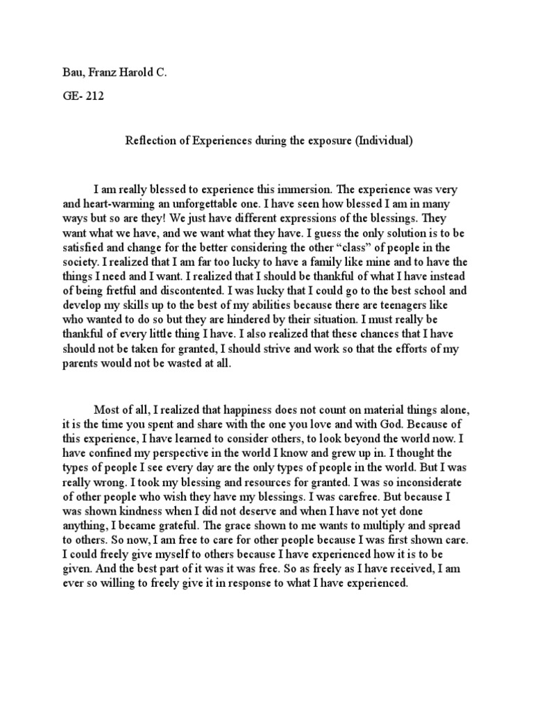 reflection essay about immersion