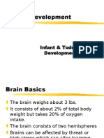 Brain Dev