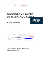 Boundary Layers in Fluid Dynamics