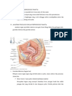 Fungsi Organ Reproduksi Wanita