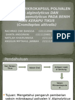 Vaksinasi Mikrokapsul Polivalen: Vibrio Alginolyticus DAN Vibrio Parahaemolyticus PADA BENIH Ikan Kerapu Tikus