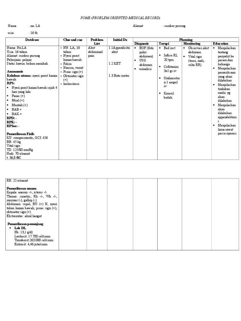 POMR Apendix | PDF