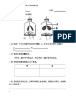 肺的模型