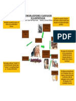 Tarea 1 Organizador de Antropologia