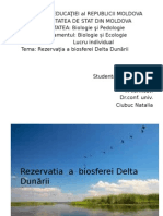 Delta Dunarii.pptx