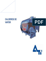 Calderos de Vapor Basico