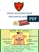 Kidney