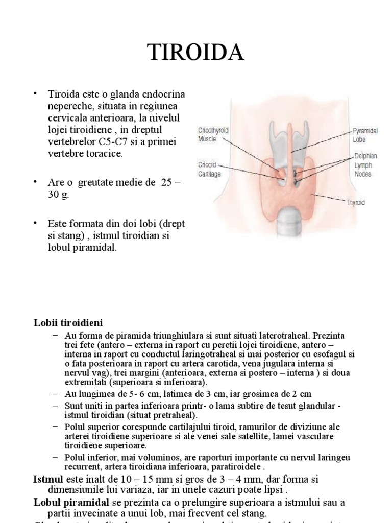 12) Tiroida | PDF