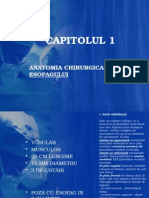 Capitolul 1