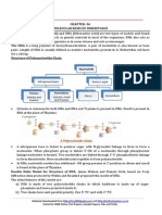 12 Biology Notes Ch06 Molecular Basis of Inheritance