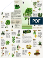 g01_plantas_btsno.pdf