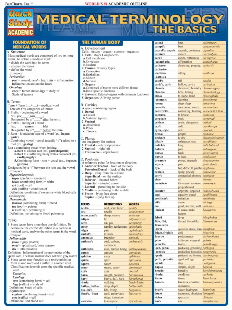 medical terminology for thesis