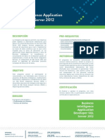 BI Application Developer SQL Server 2012