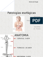 Patologia Esofago