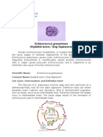 (Hydatid Worm / Dog Tapeworm) : Echinococcus Granulosus